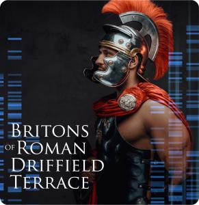 Britons of Roman Driffield Terrace